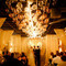 Museums & Public Venues