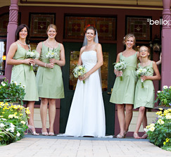 BRAND NEW Ann Taylor Bridesmaids Dresses