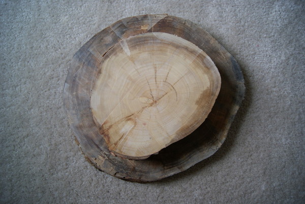 Real Weddings and Wedding Inspiration Ideas | Tree Trunk Cake Stand