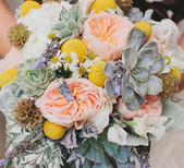 Rose & Succulent