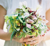 Orchids & Honeysuckles