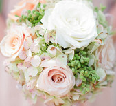 Blush roses & Hydrangea
