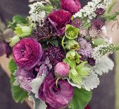 Anemone & Renuculous