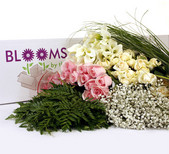 Blooms By The Box