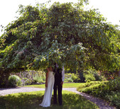 www.redanchorphoto.com