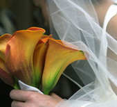 Arabella Photography