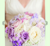 Lisa O'Dwyer Photography