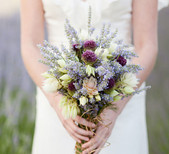Blooms by Martha Andrews