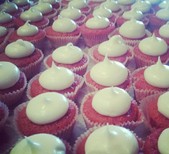 Stellina Designer Confections