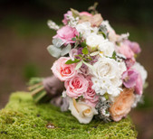 White Sage Events