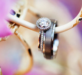 Sharon Nicole Photography