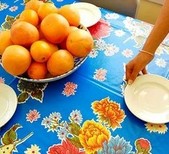 Oilcloth International