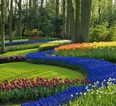 WholesaleFloral.com