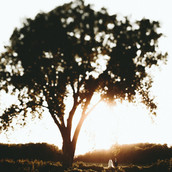 Ash &amp; James Photography