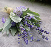 Sarah Worden Natural Design