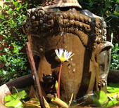garden of ji