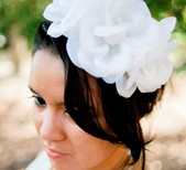 NESTINA ACCESSORIES LLC