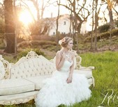Dogwood Party Rentals