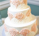 Caroline's Cakes