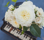 Bushel &amp; Peck Floral and Event Styling