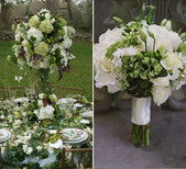 Sayles Livingston Design