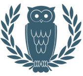 Orange Owl Photo