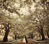 Becky Hill Photography