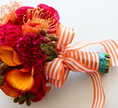 Michael Daigian Design