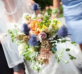 Frilly Bloomers Florals