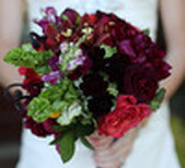 the Arrangement