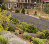 Red Ridge Farms