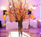 petals and promises, llc