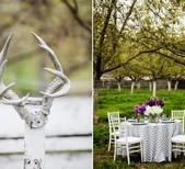 Cara Crowley Events
