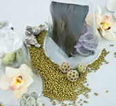 Brooklyn Botanical Garden Wedding