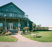 Romantic vineyard wedding