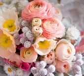 Peach Australian wedding