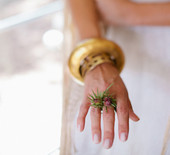 Woodland-inspired bridal brunch