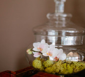 Woodland-inspired bridal brunch