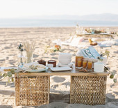 Beachside Rehearsal Dinner Party