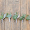 Atwood Ranch wedding