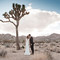 Joshua Tree wedding
