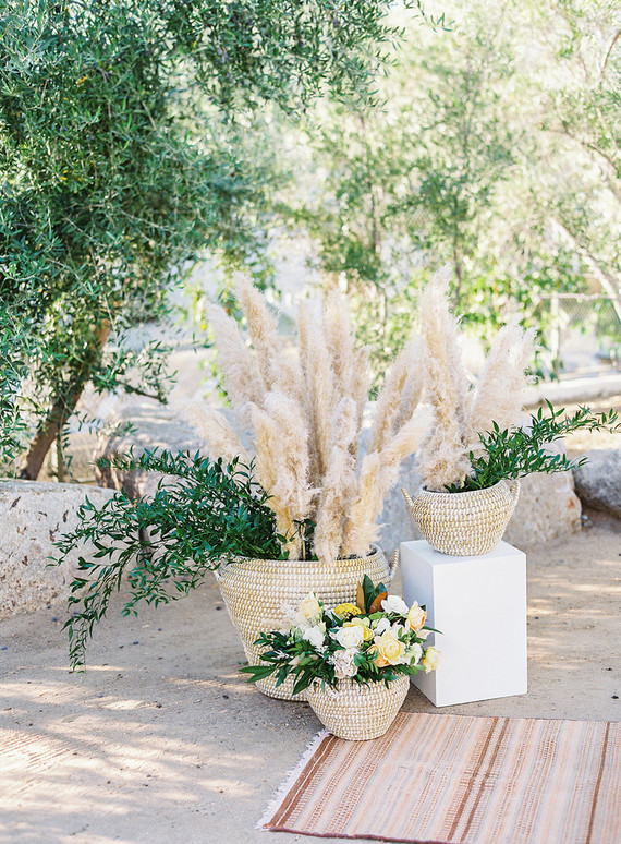 Pampas grass for wedding