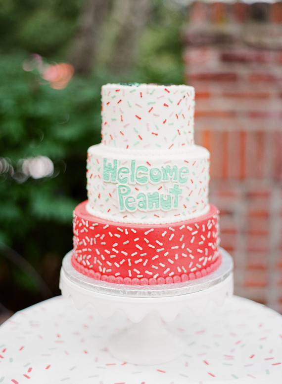 Pickles and Ice Cream baby shower Wedding & Party Ideas 100 Layer Cake
